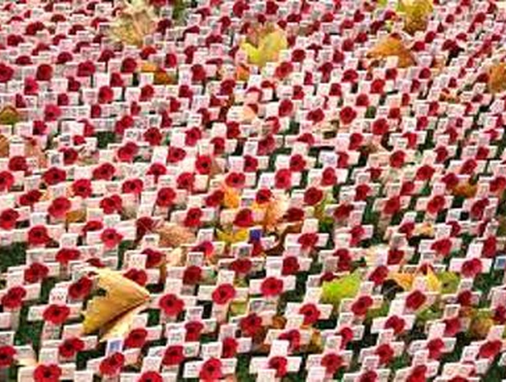 The National Secular Society: Coronation and Remembrance, courage and hypocrisy