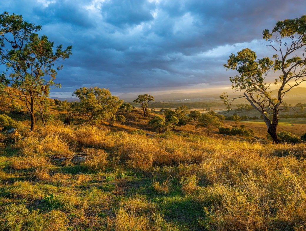 Laudato Si&rsquo;: Three commendations and a criticism