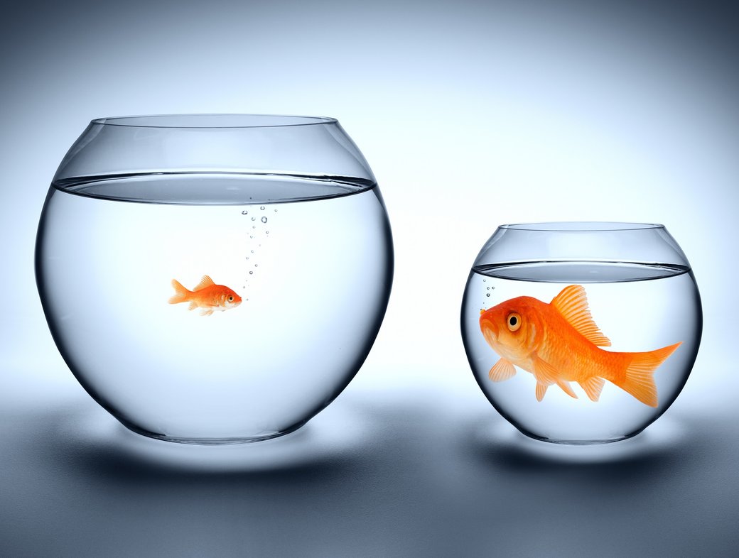 &lsquo;They are dying of hopelessness&rsquo;: how inequality affects our mental health