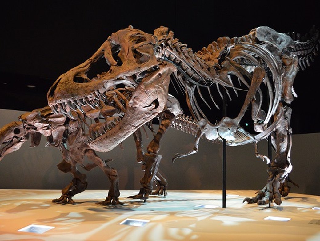 Beyond the Dogmas of Science?: Rupert Sheldrake and Keith Fox