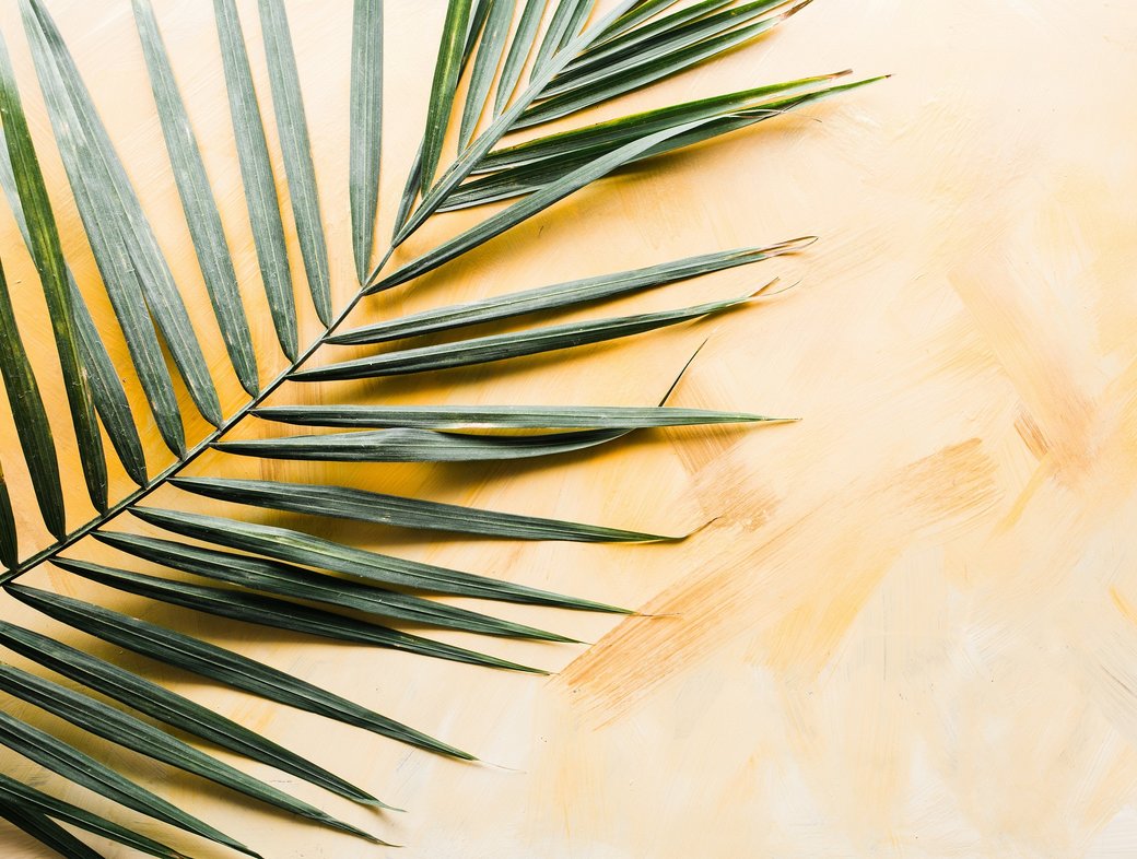 Easter Reflections from the Theos team