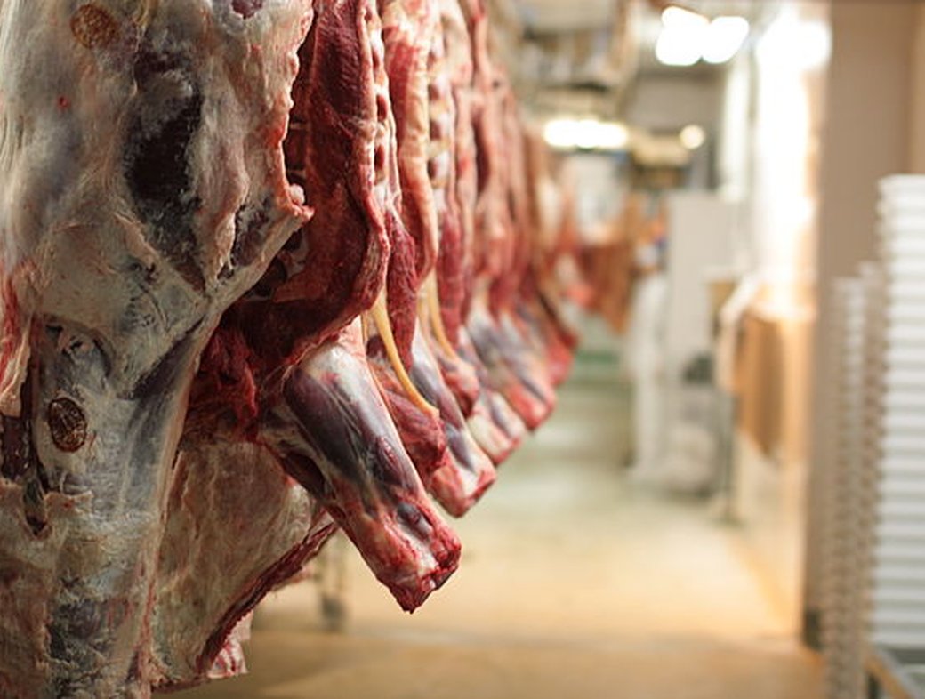 Religious slaughter debate shows why change is necessary