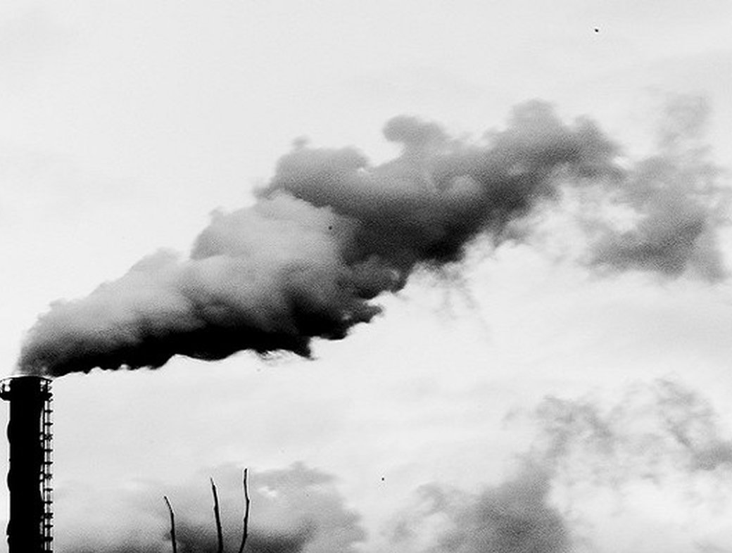 The Climate Coalition: Local Love for a Global Problem