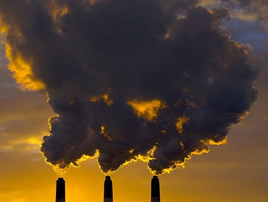 Elizabeth Oldfield responds to the Papal Encyclical