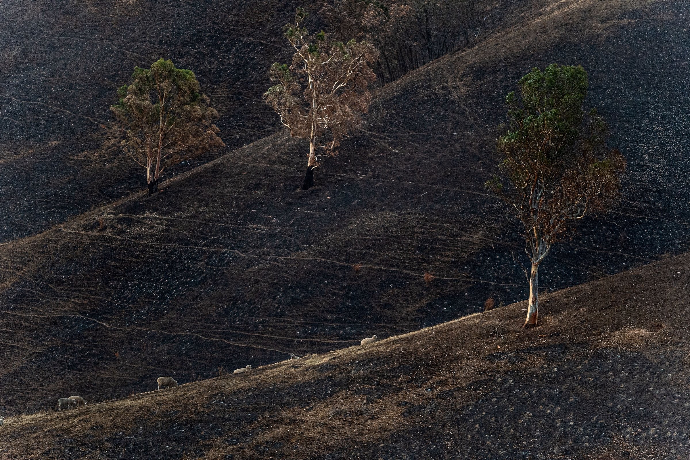 Becoming unstuck: a spiritual dimension to the climate crisis