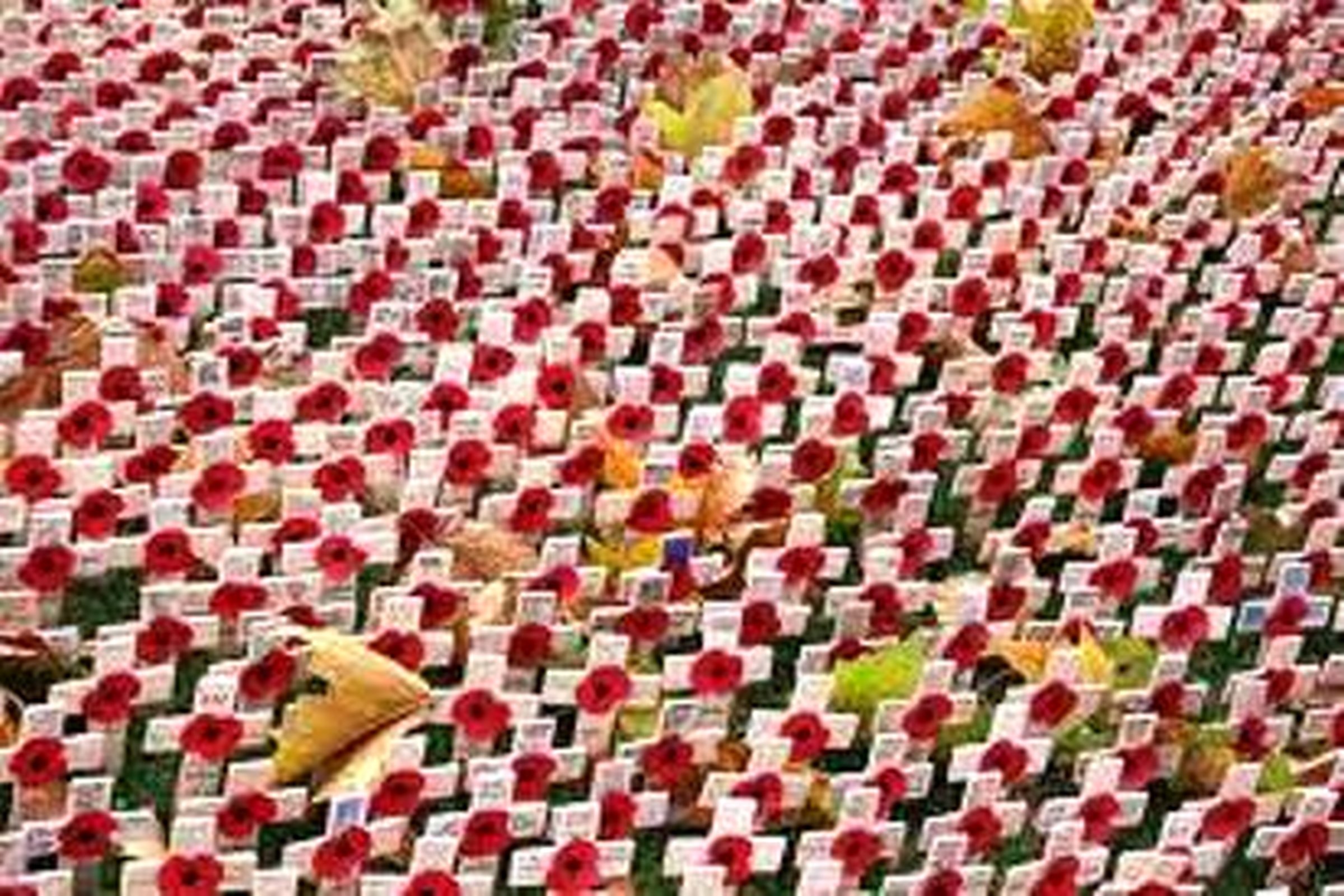 The National Secular Society: Coronation and Remembrance, courage and hypocrisy
