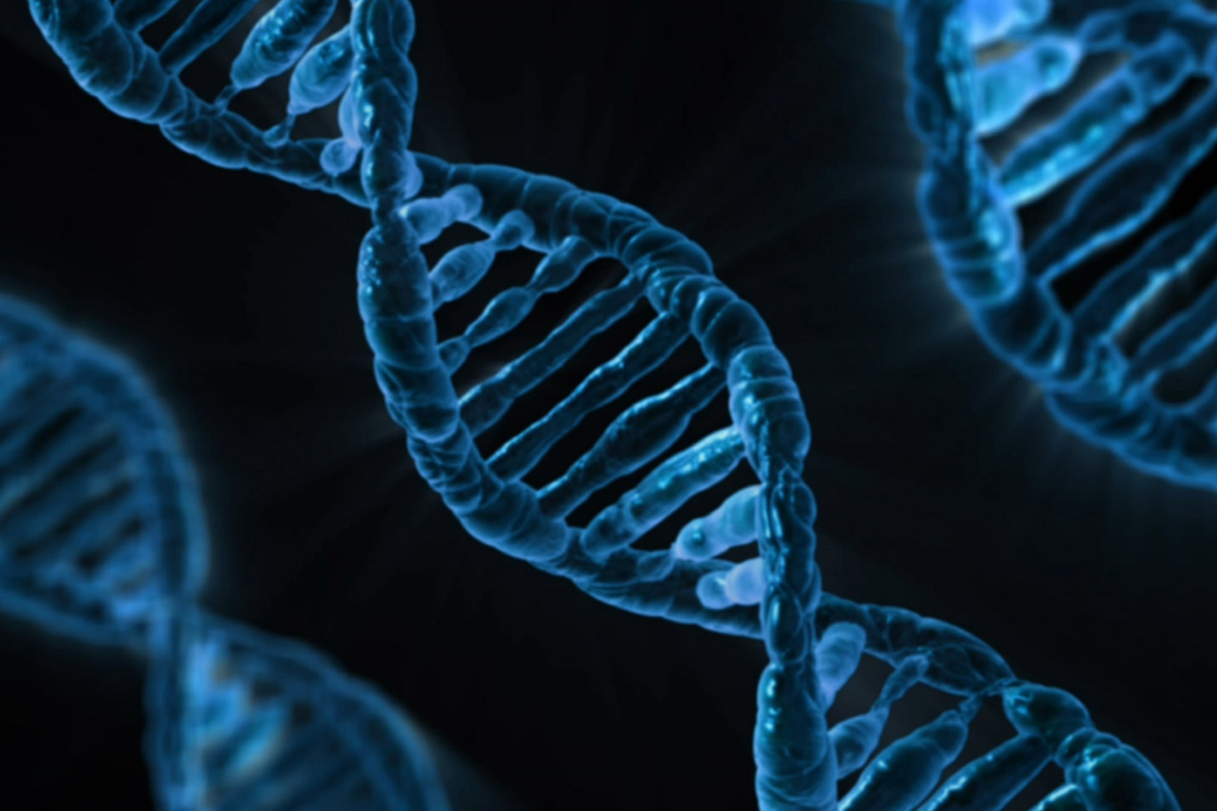 Genes, Determinism and God
