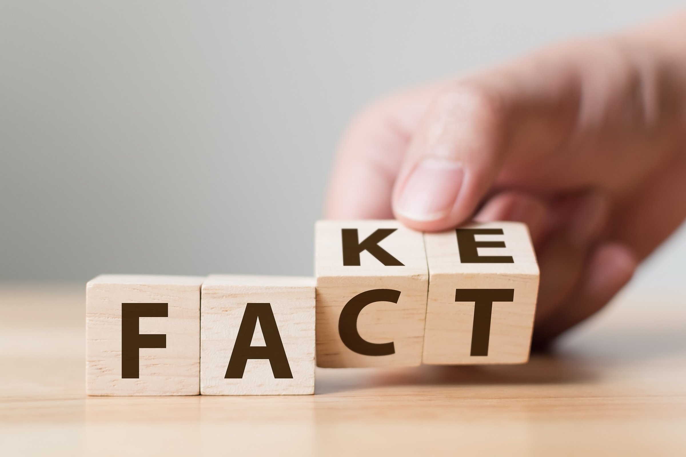 The Fake News of World Record Egg