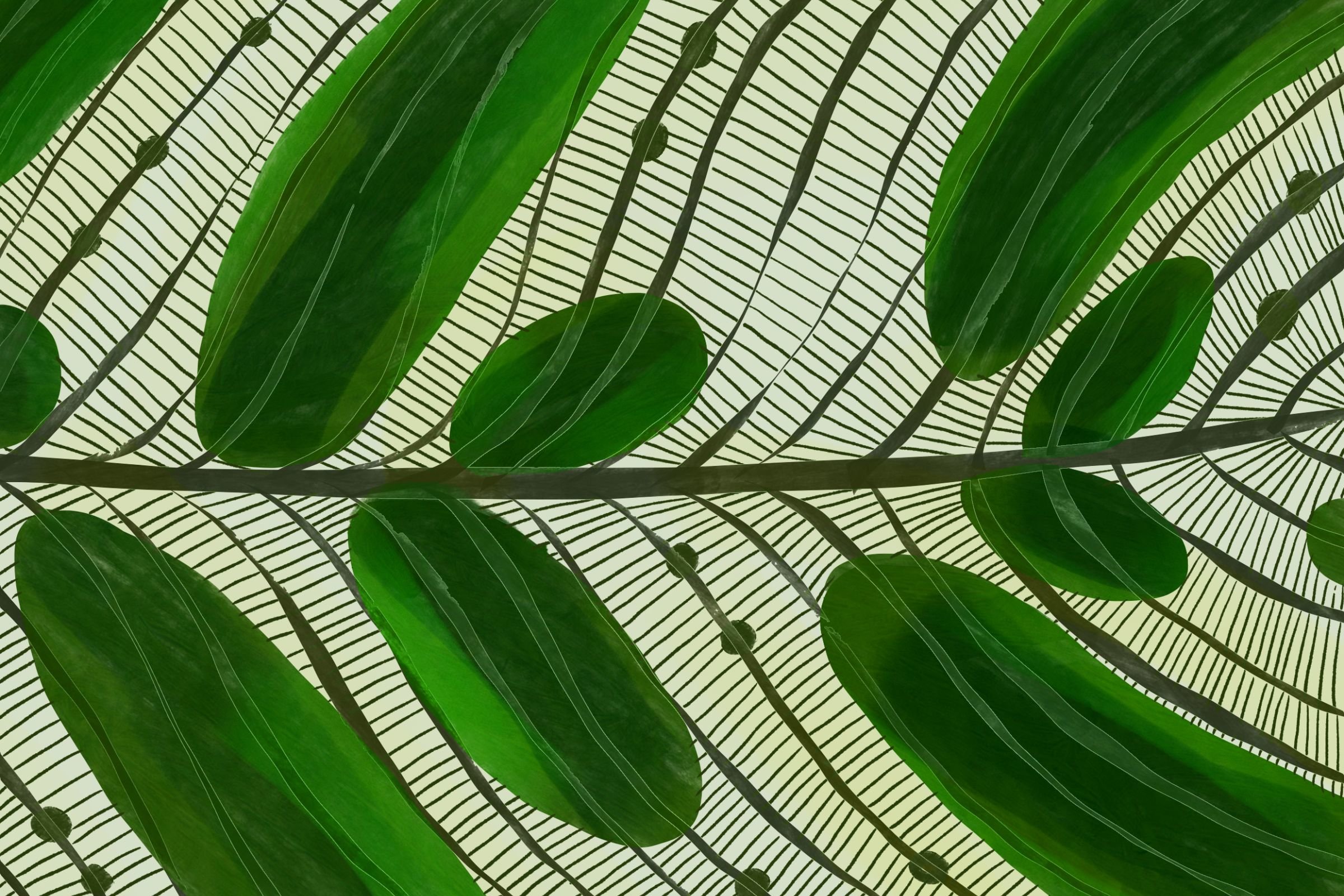 Beauty and Science: What we can learn from the Middle Ages