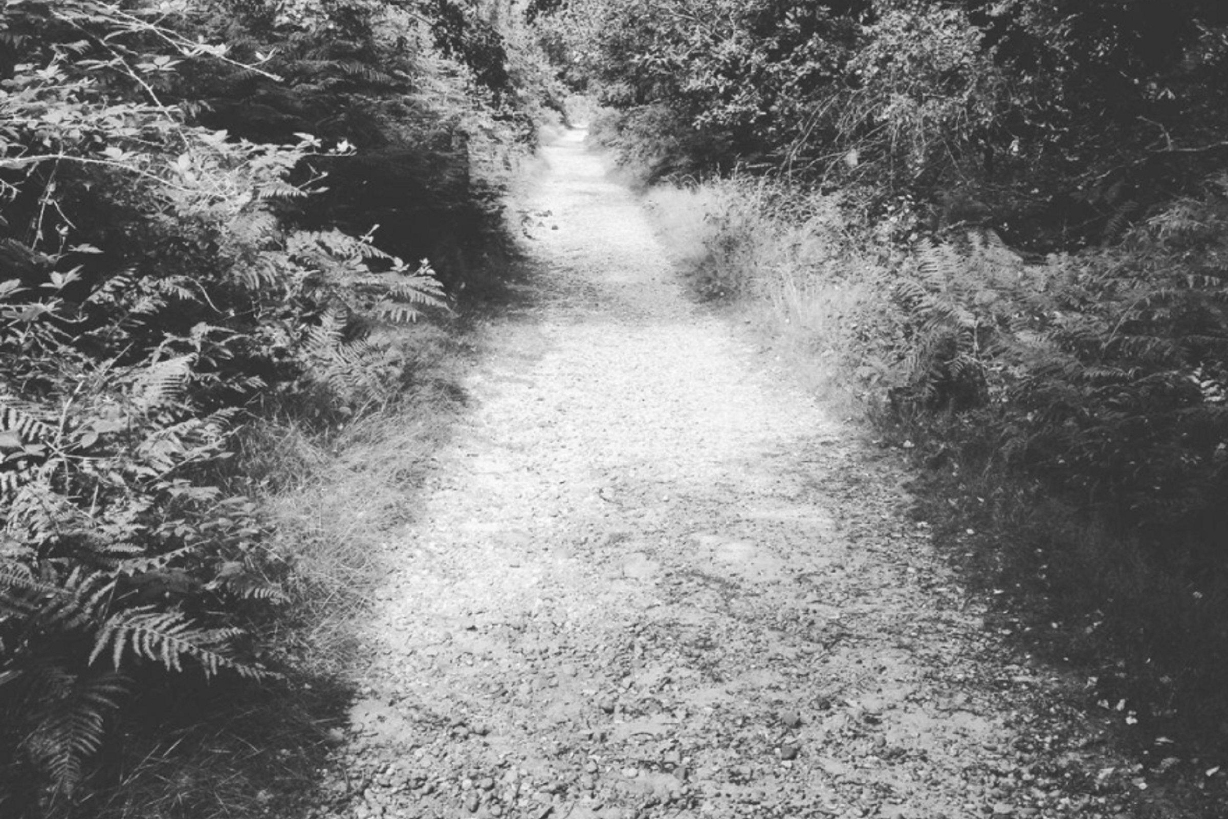 Vulnerability and the pandemic