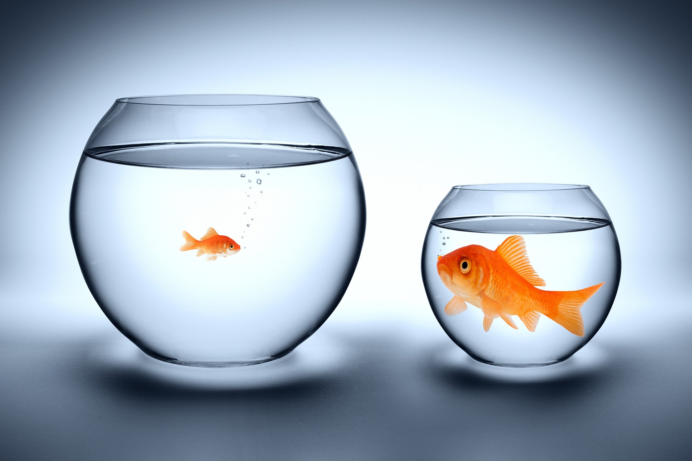 &lsquo;They are dying of hopelessness&rsquo;: how inequality affects our mental health