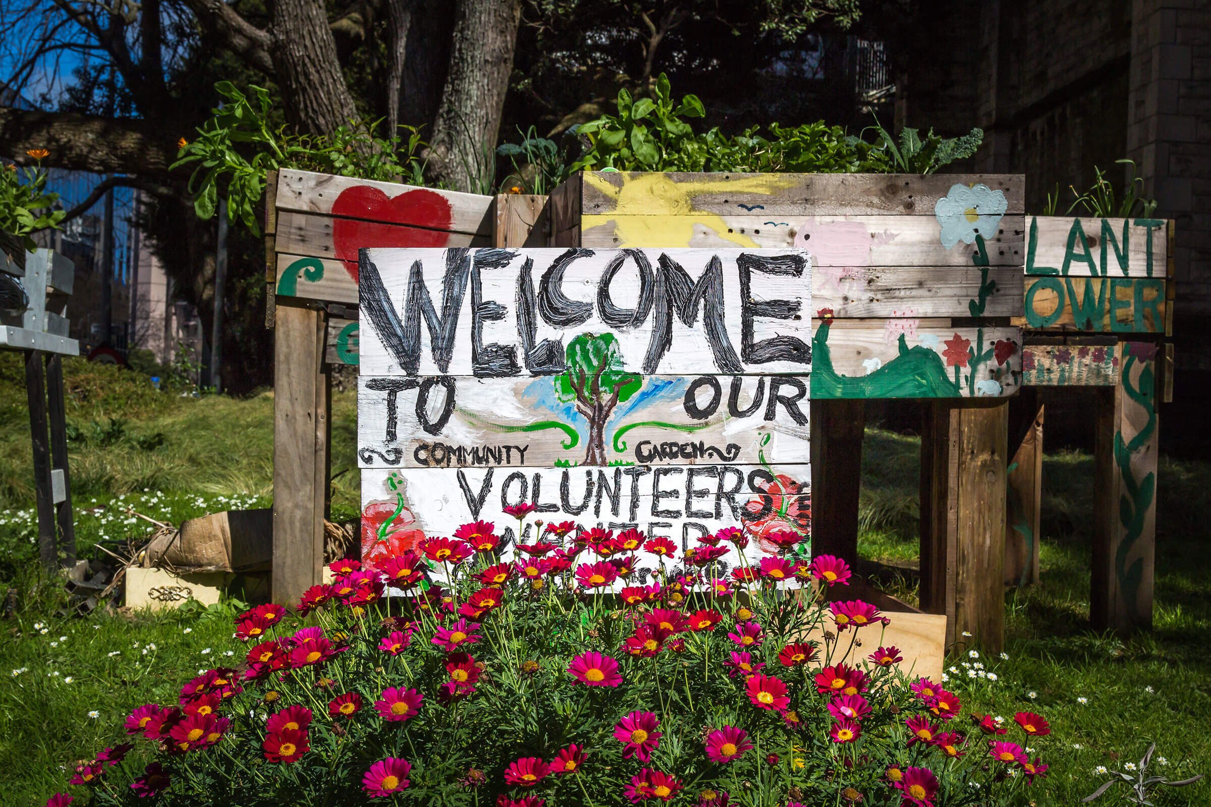 Selfless or self&ndash;serving? The distinctive character of religious volunteering