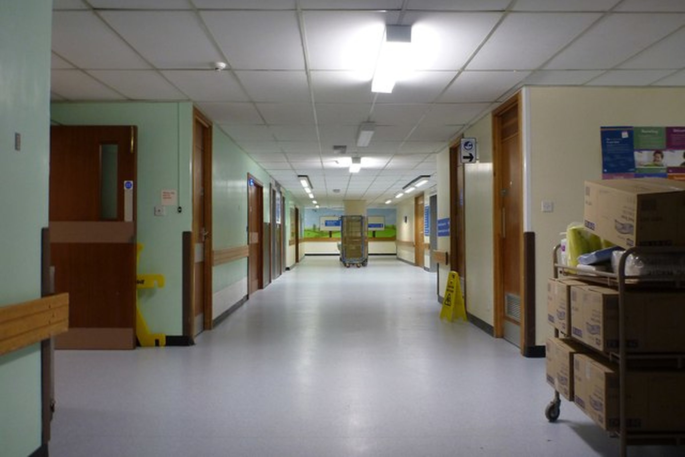 A &lsquo;voluntary, clear and informed wish&rsquo; to die