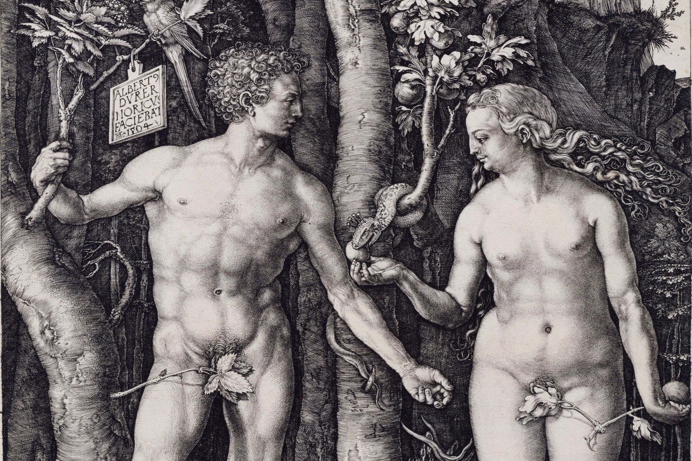 The Rise and Fall of Adam and Eve