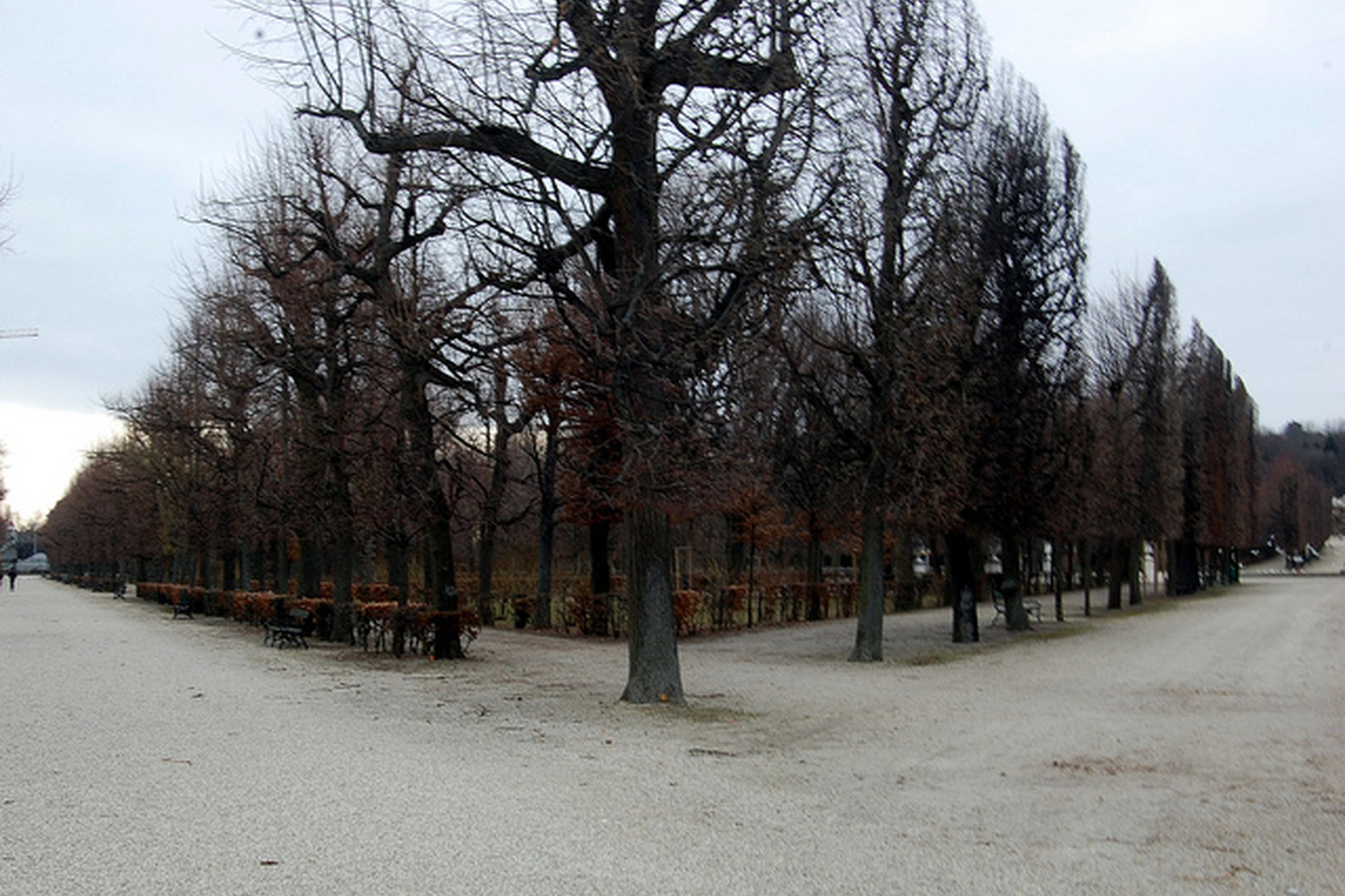 Christianity at a Crossroads?  Theos & BBC Live debate