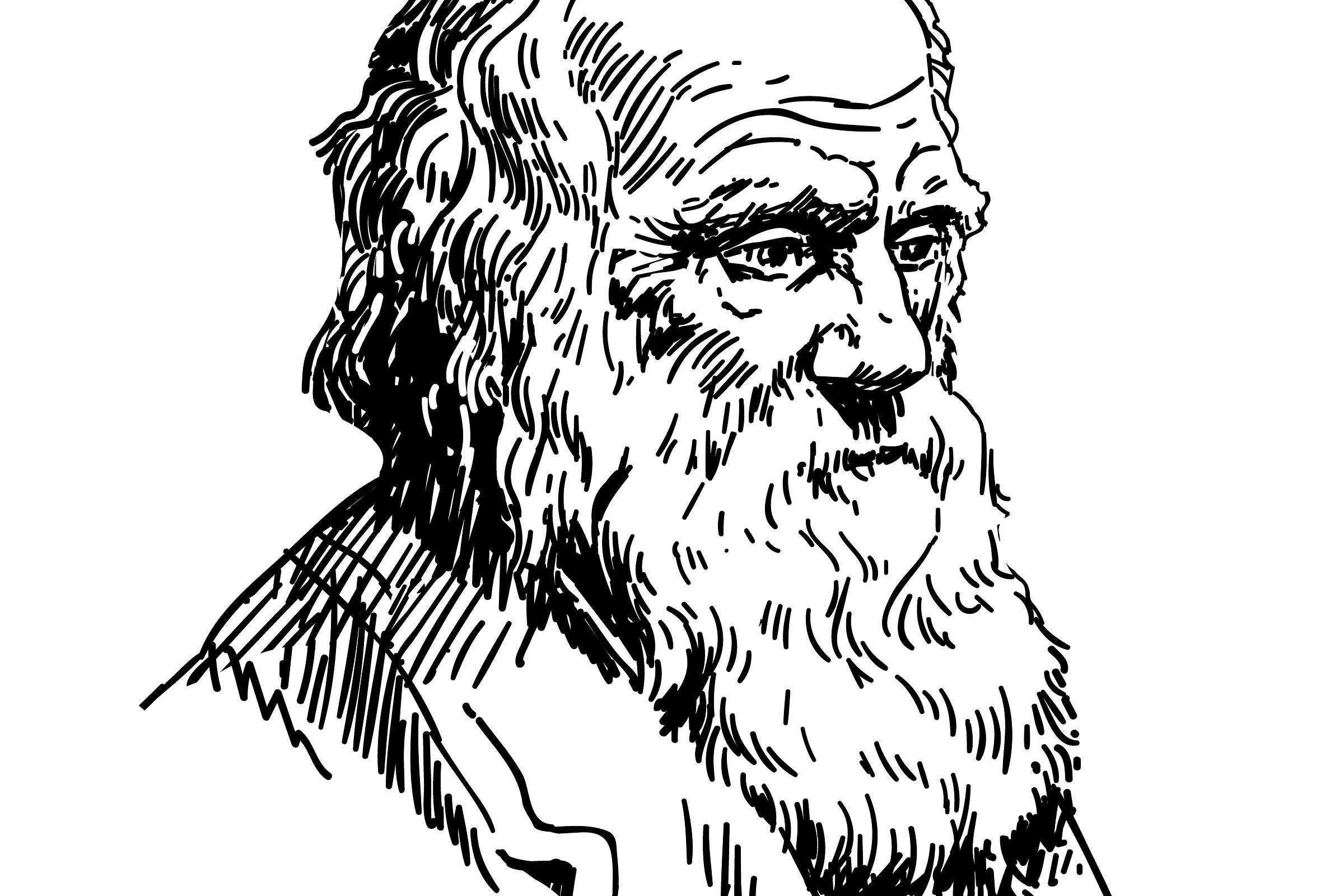 Disbelieving Darwin: the dangers of evolution opinion polls